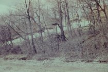 New beach road under construction